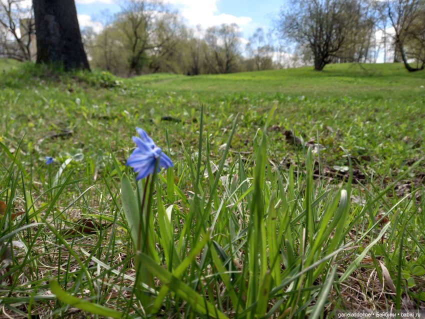 Хибрис. Логово льва. 1 серия
