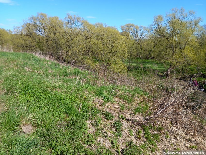 Хибрис. Логово льва. 4 серия (фото 7)