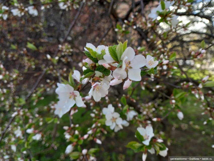 Хибрис. Логово льва. 5 серия (фото 3)