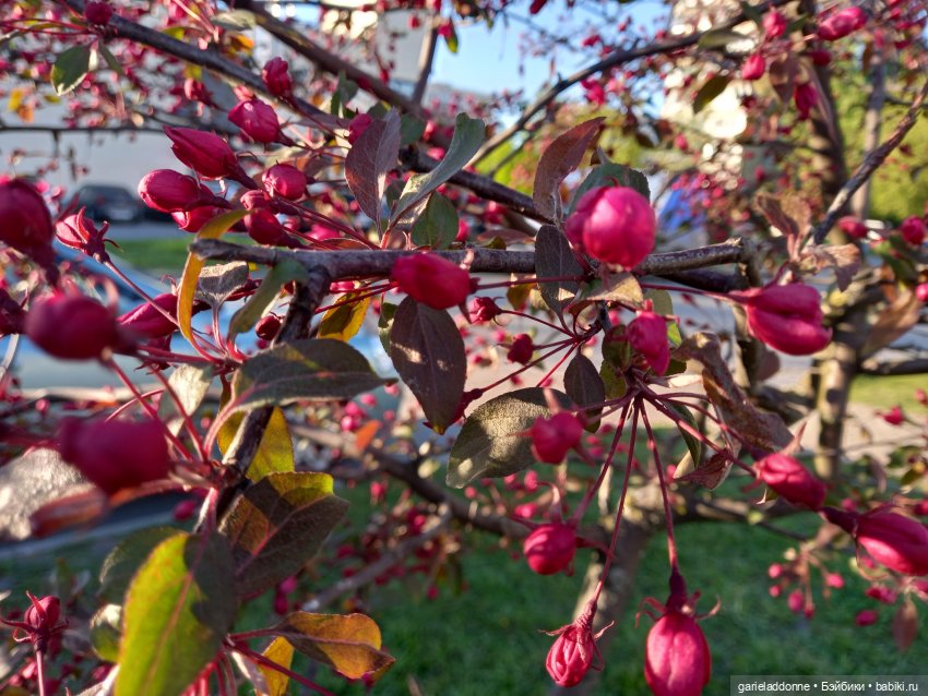 Вечерняя рыбалка — Туризм и путешествия: фотоотчеты из поездок (фото 7)