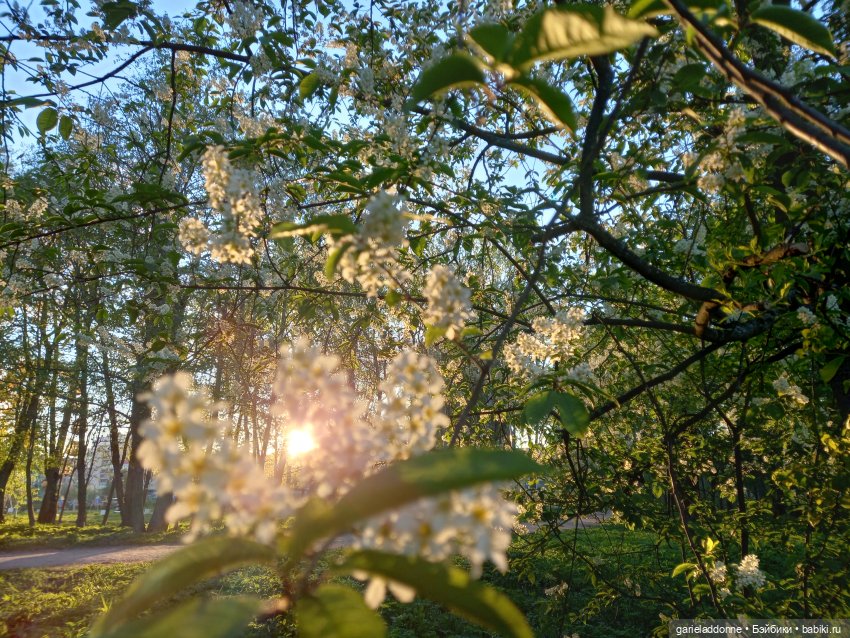Вечерняя рыбалка — Туризм и путешествия: фотоотчеты из поездок