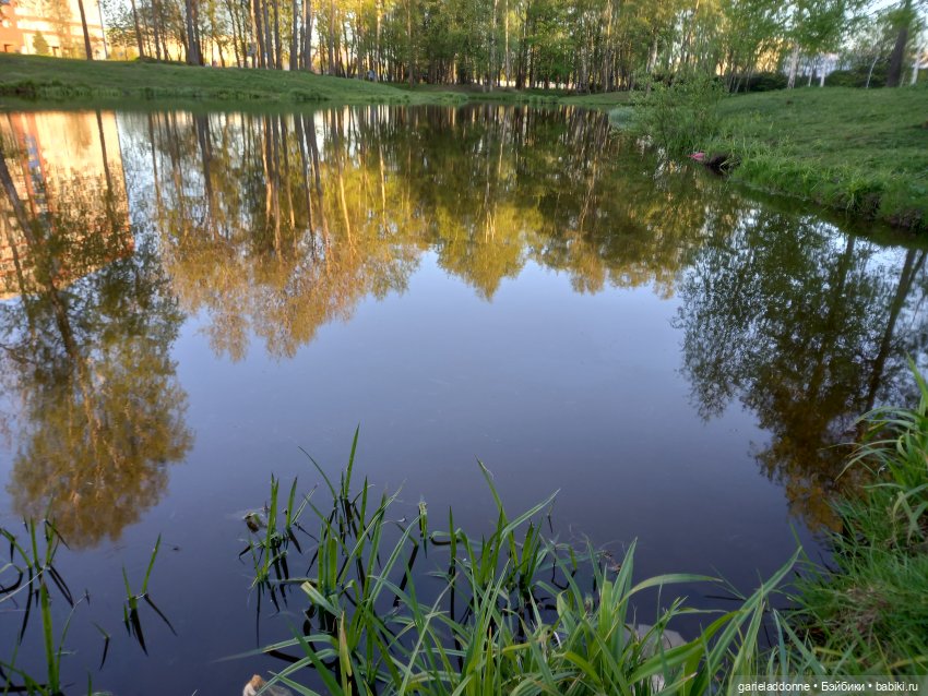 Вечерняя рыбалка — Туризм и путешествия: фотоотчеты из поездок