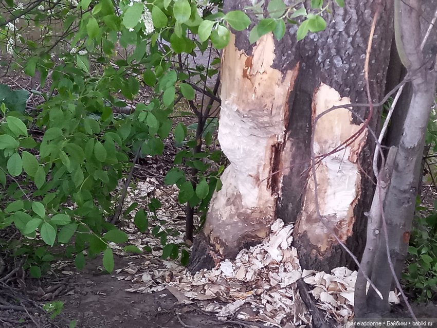 Вечерняя рыбалка — Туризм и путешествия: фотоотчеты из поездок