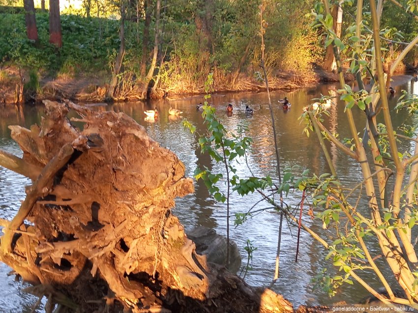 Вечерняя рыбалка — Туризм и путешествия: фотоотчеты из поездок