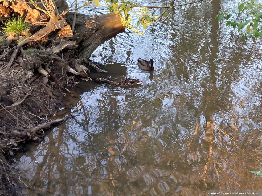 Вечерняя рыбалка — Туризм и путешествия: фотоотчеты из поездок