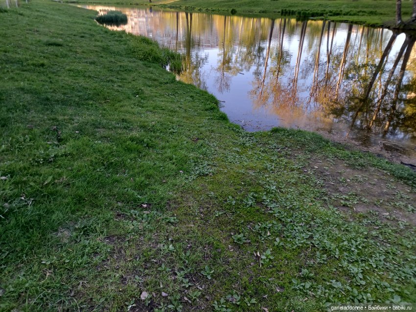 Вечерняя рыбалка — Туризм и путешествия: фотоотчеты из поездок (фото 8)