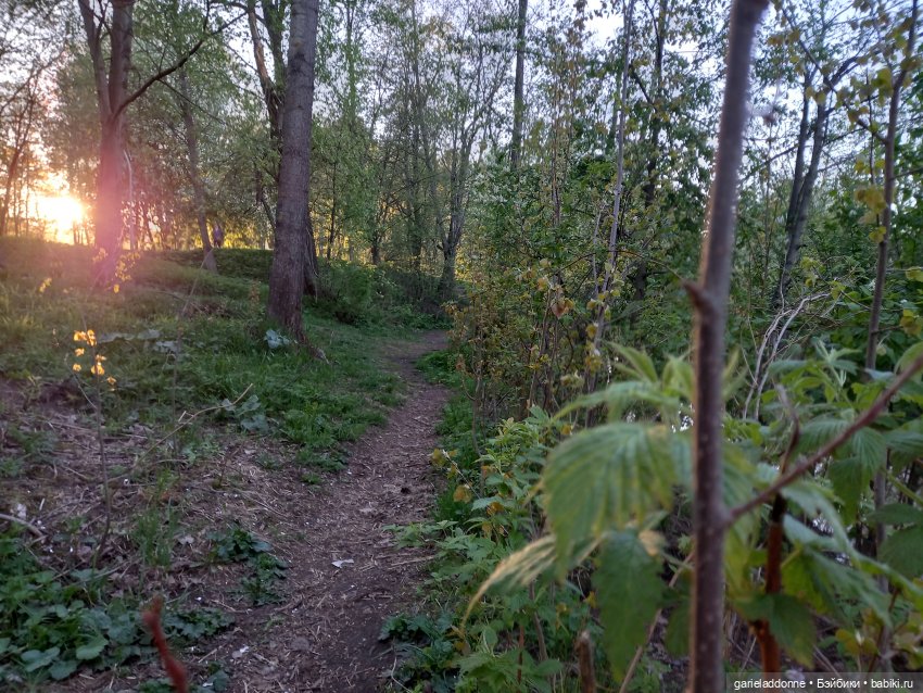 Вечерняя рыбалка — Туризм и путешествия: фотоотчеты из поездок