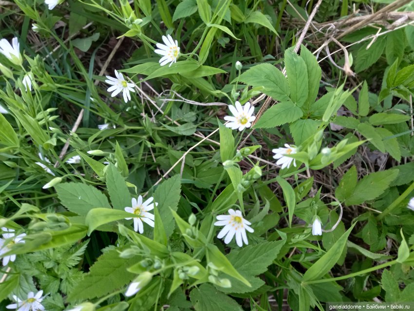Вечерняя рыбалка — Туризм и путешествия: фотоотчеты из поездок