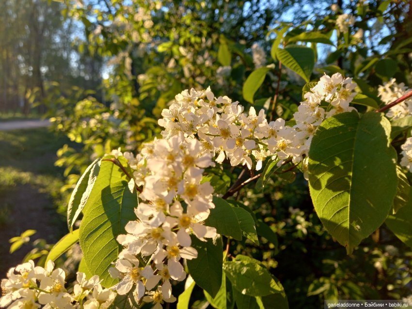 Вечерняя рыбалка — Туризм и путешествия: фотоотчеты из поездок