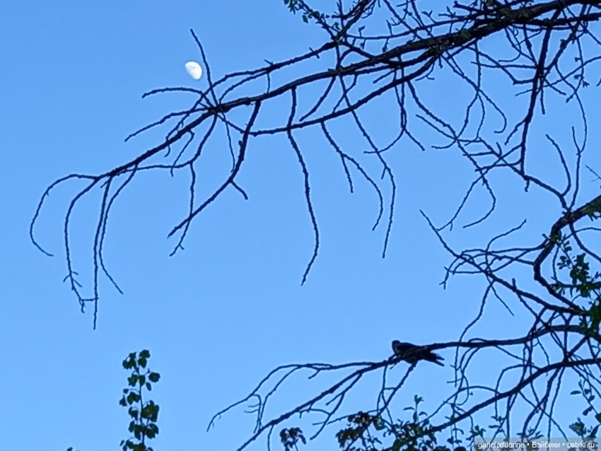 Вечерняя рыбалка — Туризм и путешествия: фотоотчеты из поездок