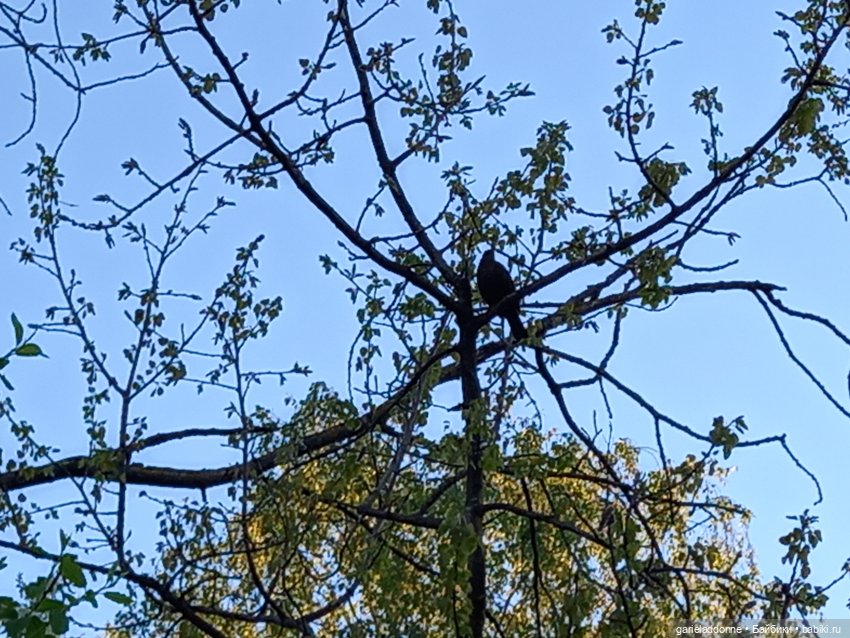 Вечерняя рыбалка — Туризм и путешествия: фотоотчеты из поездок