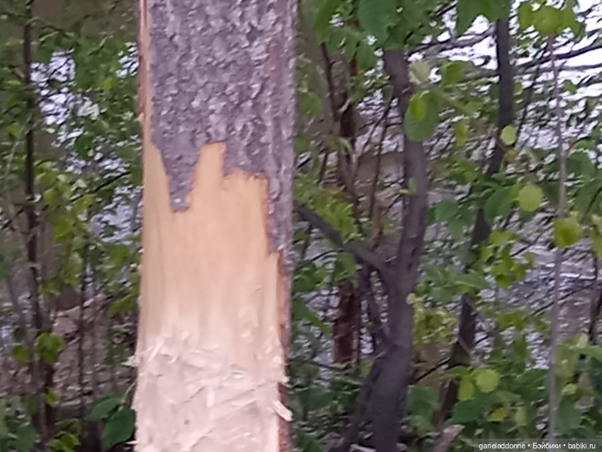 Вечерняя рыбалка — Туризм и путешествия: фотоотчеты из поездок