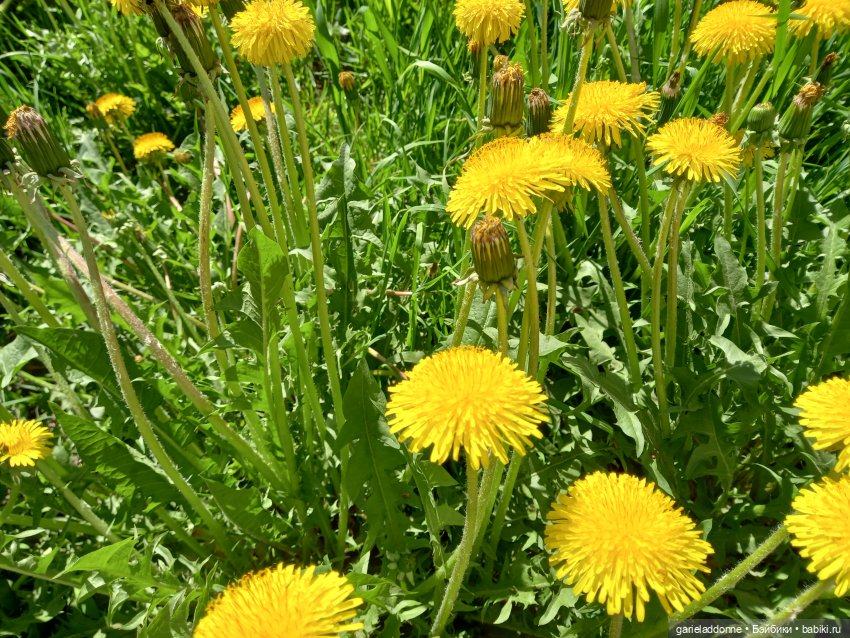 Хибрис. Четвертое царство. 2 серия (фото 3)