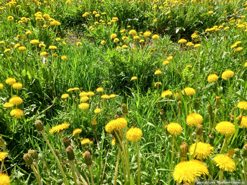 Хибрис. Четвертое царство. 2 серия