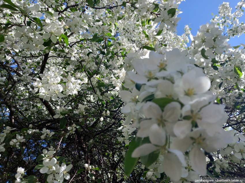 Хибрис. Четвертое царство. 3 серия (фото 5)