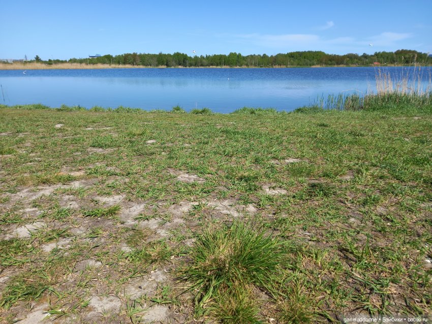 Хибрис. Четвертое царство. 3 серия