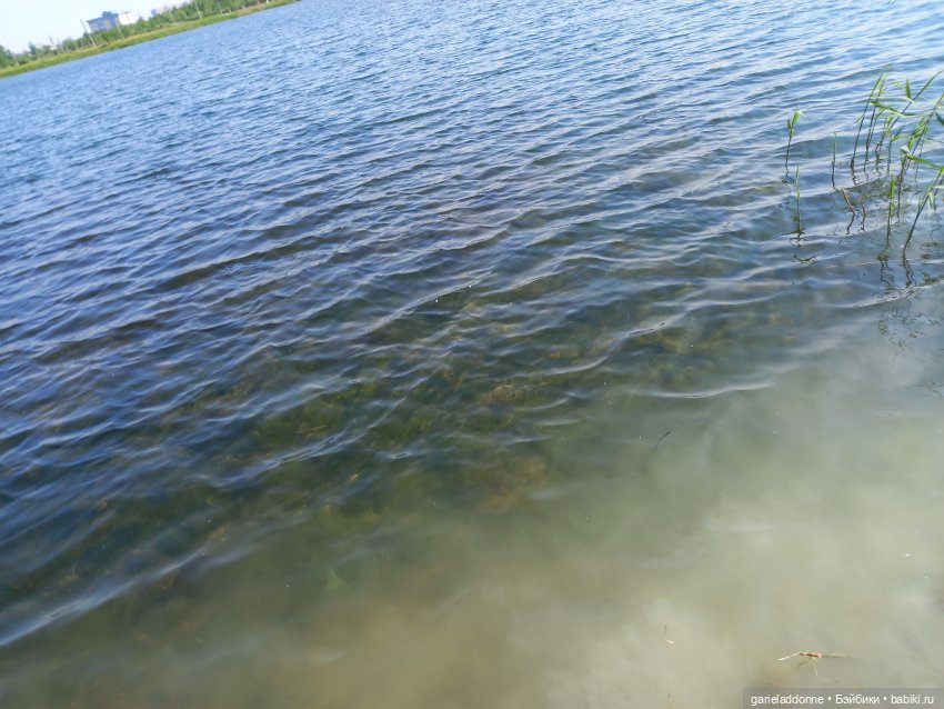 Хибрис. Четвертое царство. 3 серия