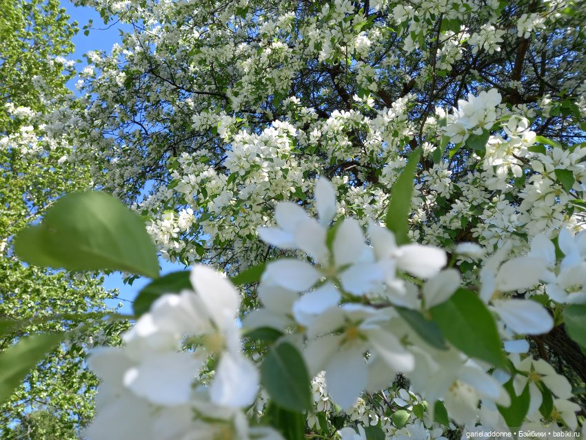 Хибрис. Четвертое царство. 3 серия (фото 4)