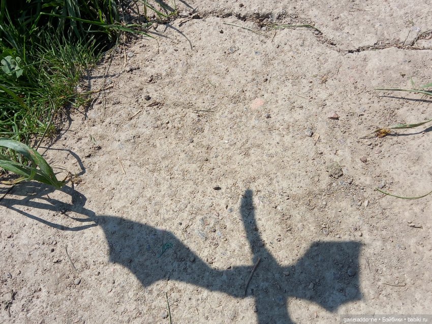 Хибрис. Четвертое царство. 3 серия