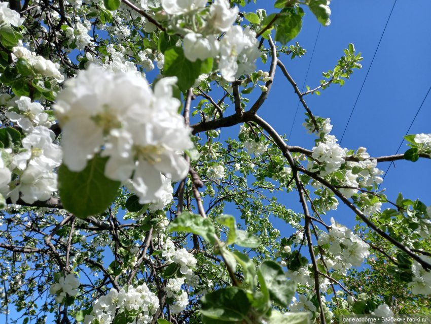 Хибрис. Четвертое царство. 3 серия (фото 7)