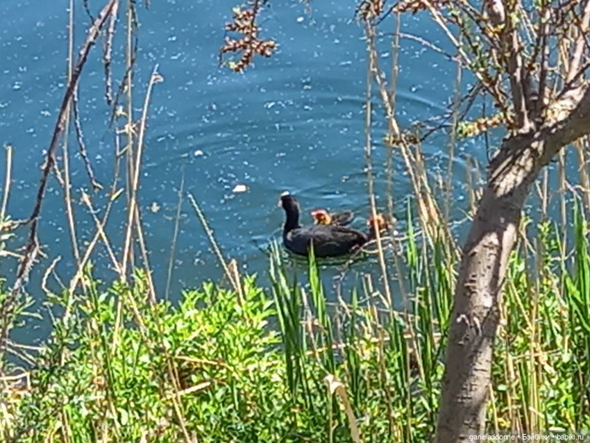 Хибрис. Четвертое царство. 3 серия