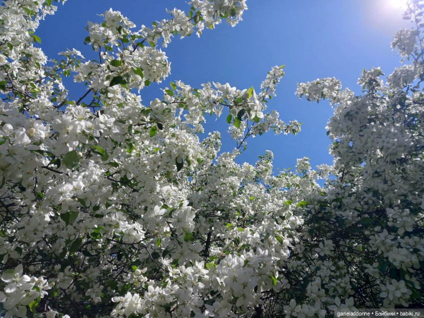 Хибрис. Четвертое царство. 3 серия (фото 2)