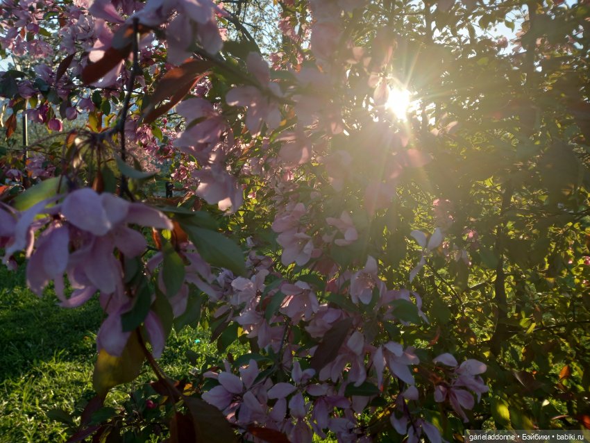 Хибрис. Четвертое царство. 3 серия