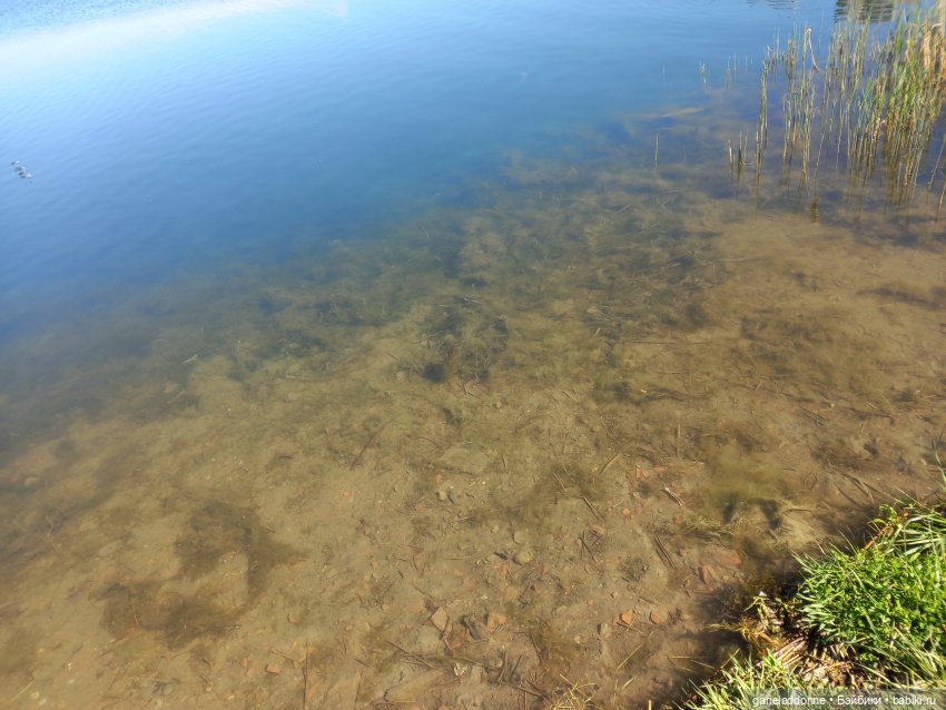 Хибрис. Четвертое царство. 3 серия