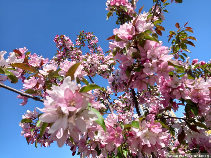 Хибрис. Четвертое царство. 3 серия (фото 9)