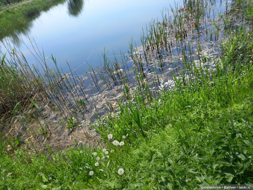 Хибрис. Четвертое царство. 4серия