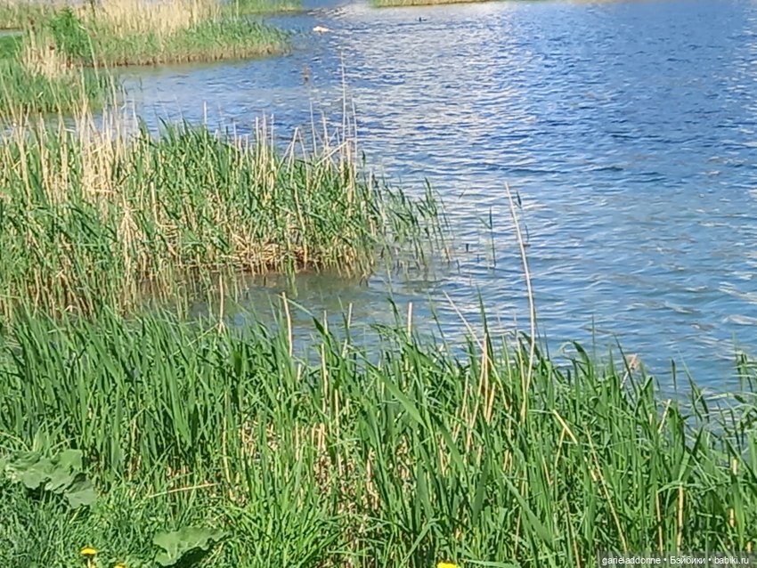 Хибрис. Четвертое царство. 4серия