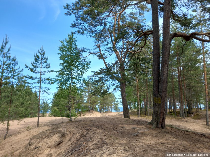 Хибрис. Сердце Тьмы. 1 серия