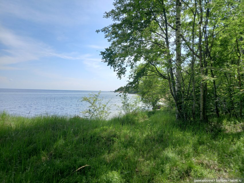 Хибрис. Сердце Тьмы. 1 серия