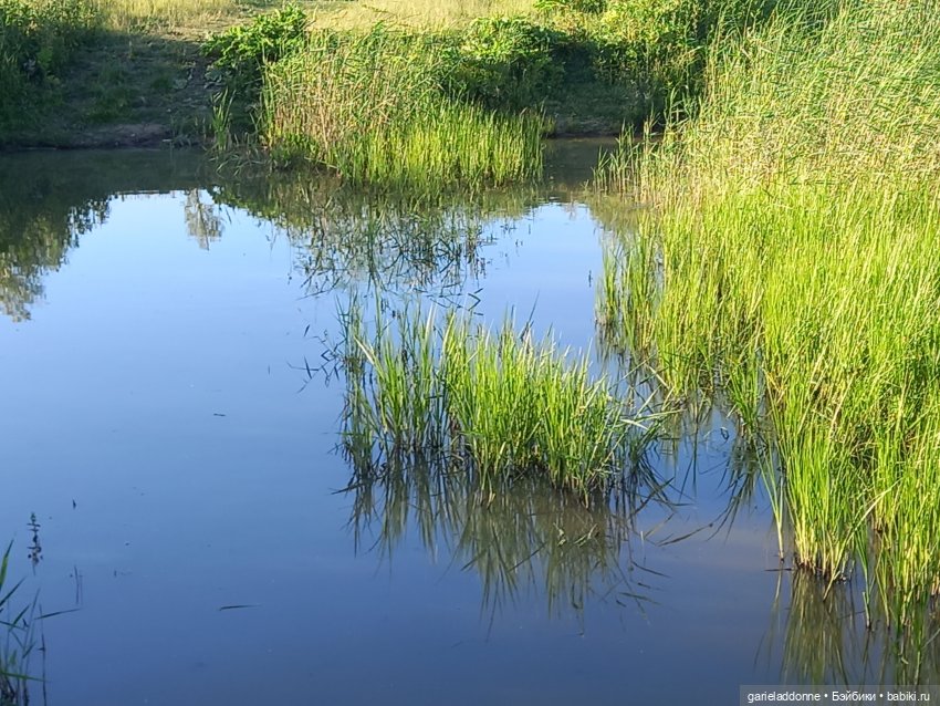 В лодке, не считая собаки | Бэйбики В лодке, не считая собаки