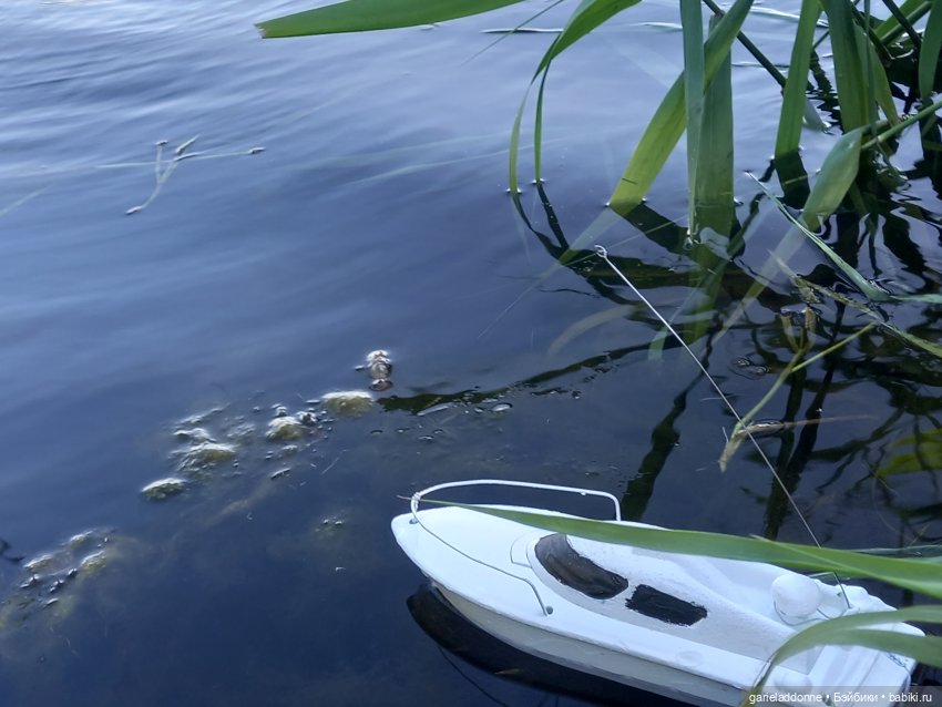 В лодке, не считая собаки | Бэйбики В лодке, не считая собаки (фото 6)