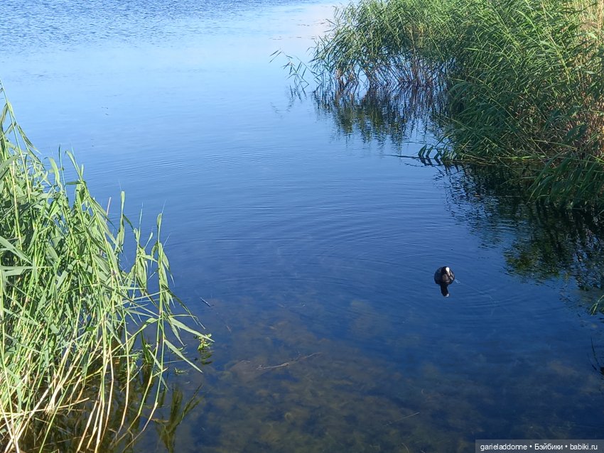 В лодке, не считая собаки | Бэйбики В лодке, не считая собаки