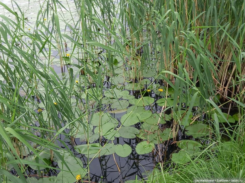 Эрик-викинг | Бэйбики Эрик-викинг — Интересные игрушки и фигурки (разное): редкие