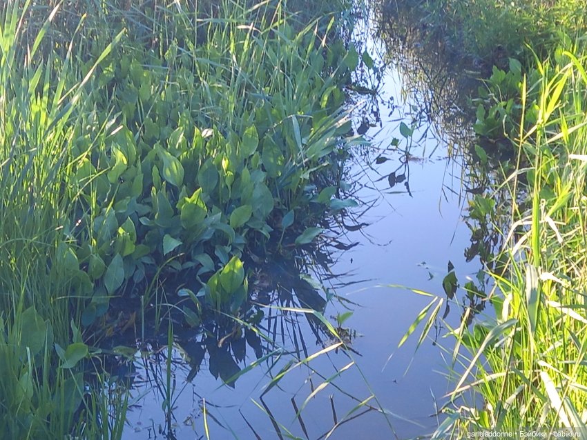 В лодке, не считая собаки | Бэйбики В лодке, не считая собаки