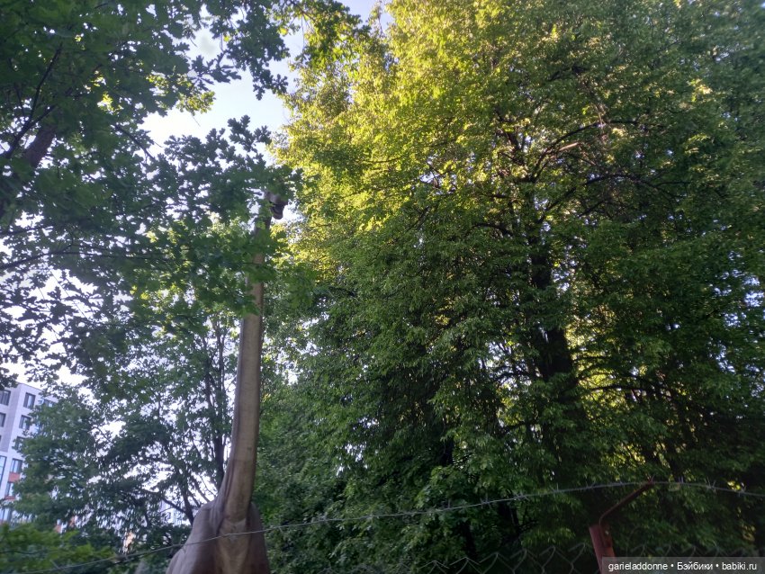 В лодке, не считая собаки | Бэйбики В лодке, не считая собаки