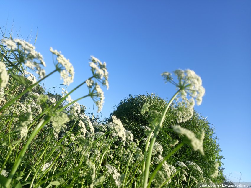 В лодке, не считая собаки | Бэйбики В лодке, не считая собаки