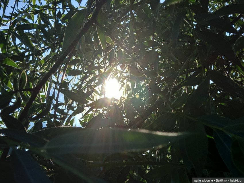 В лодке, не считая собаки | Бэйбики В лодке, не считая собаки (фото 7)