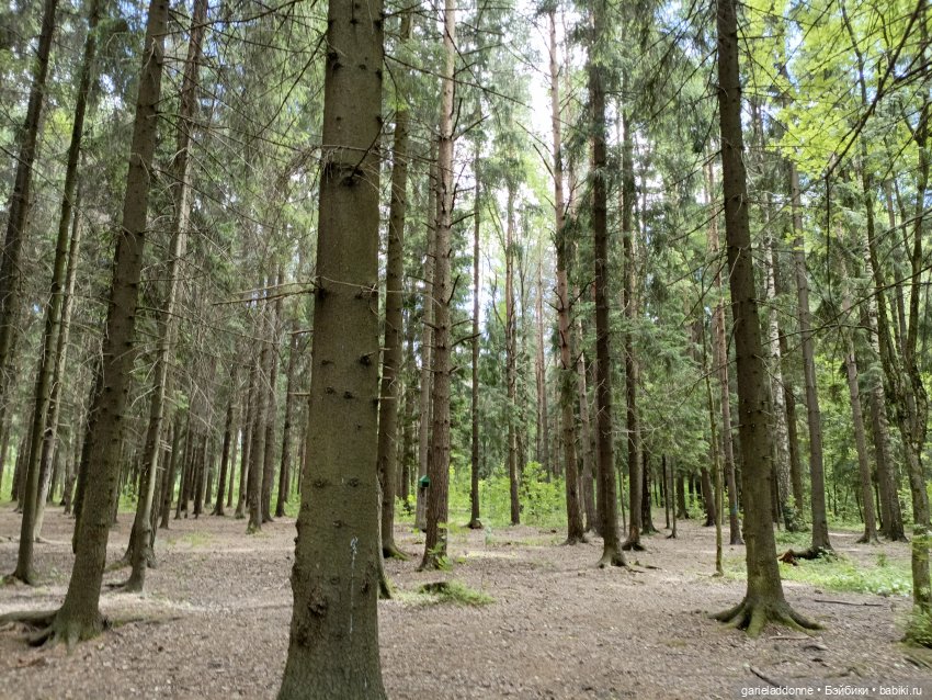 Разведчики Лугару — Зарисовки из кукольной жизни: фотоистории