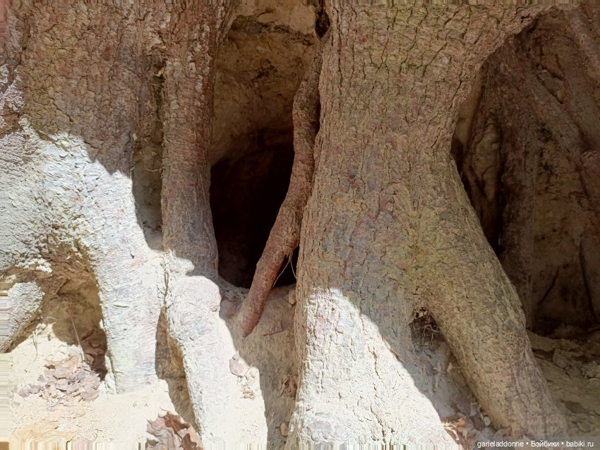 Разведчики Лугару — Зарисовки из кукольной жизни: фотоистории