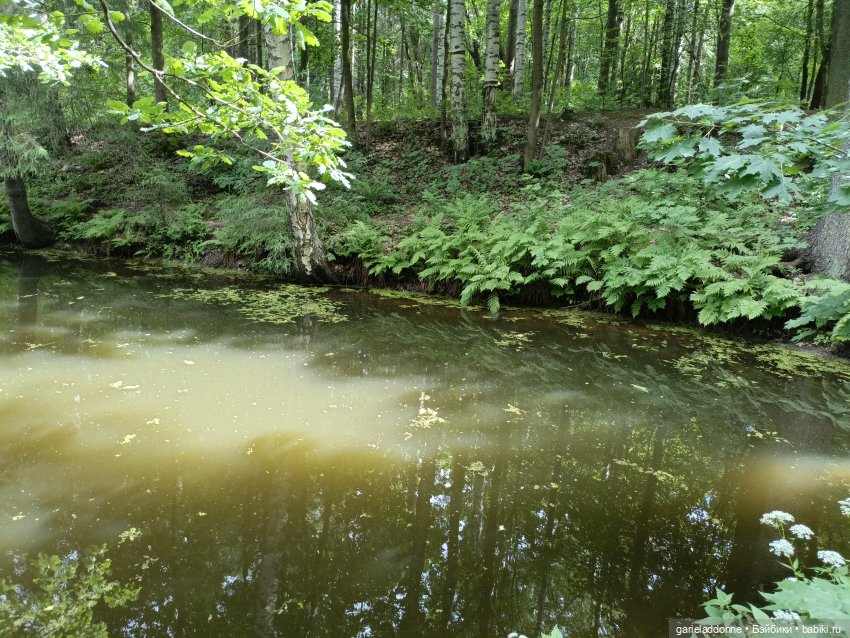 Разведчики Лугару — Зарисовки из кукольной жизни: фотоистории
