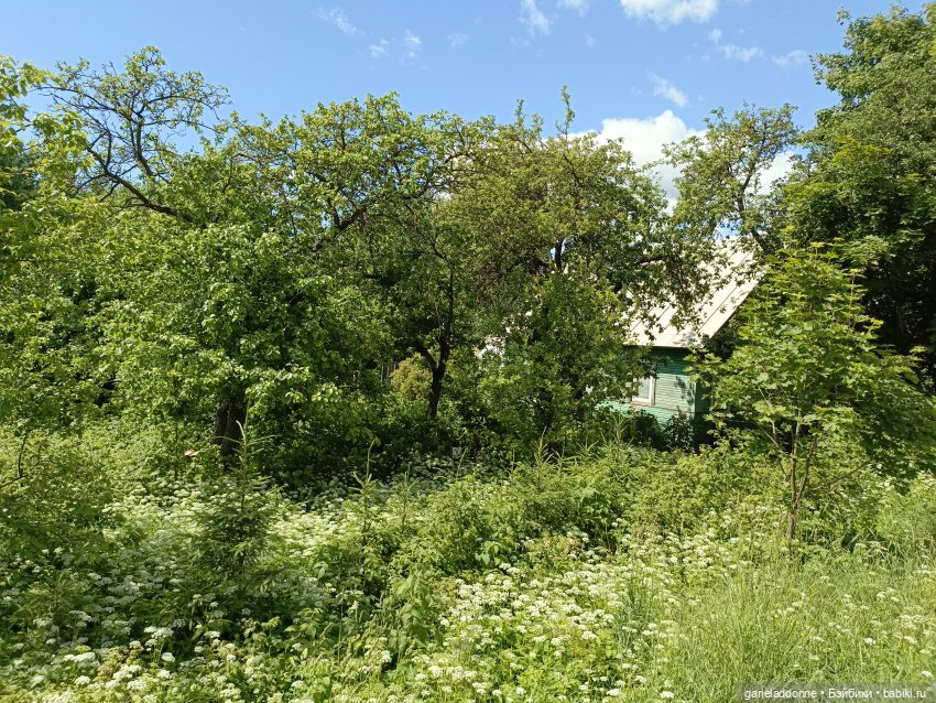 Разведчики Лугару — Зарисовки из кукольной жизни: фотоистории (фото 3)