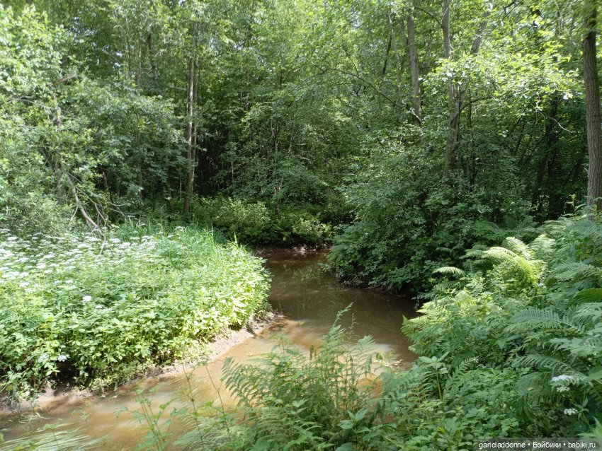Разведчики Лугару — Зарисовки из кукольной жизни: фотоистории
