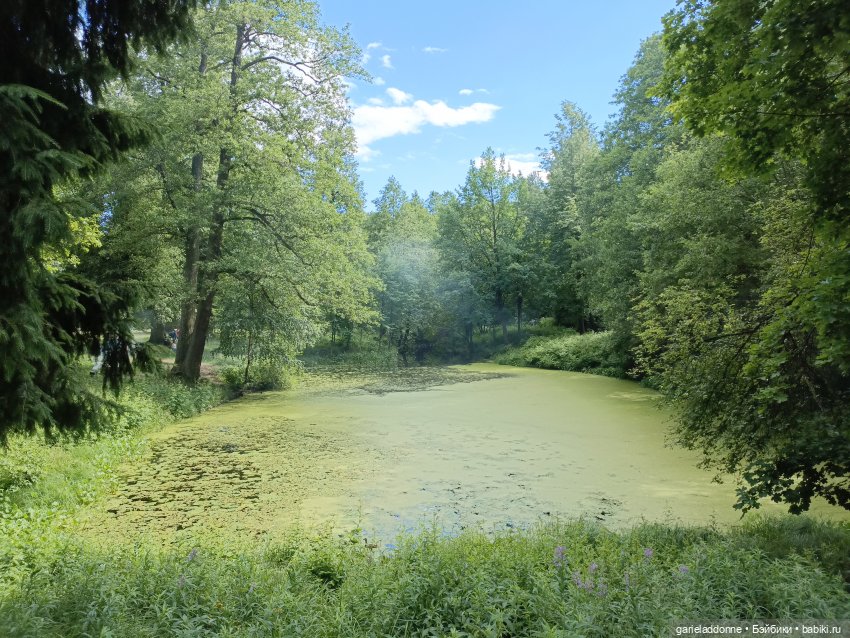 Разведчики Лугару — Зарисовки из кукольной жизни: фотоистории