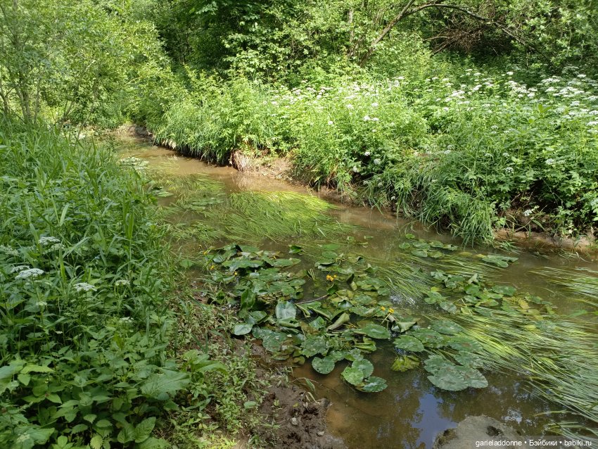 Разведчики Лугару — Зарисовки из кукольной жизни: фотоистории