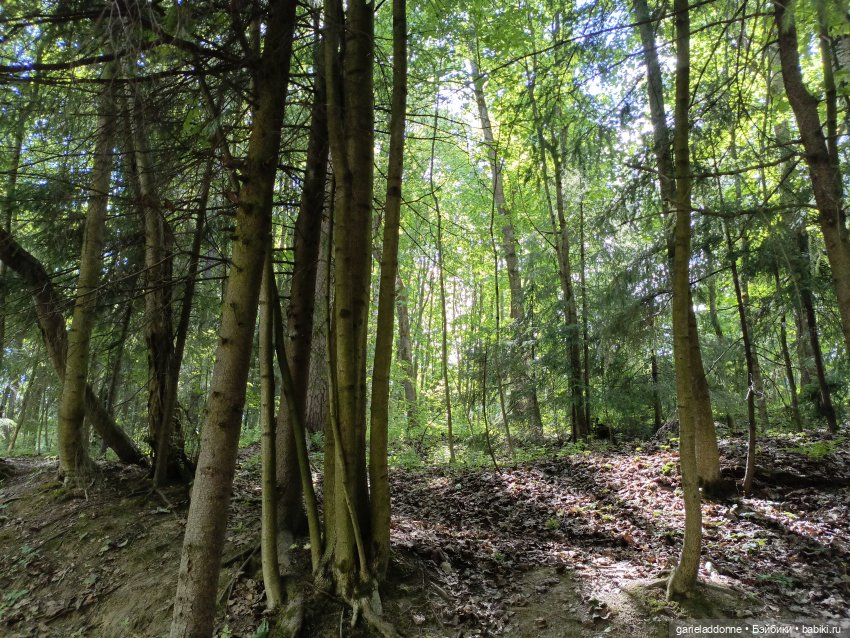 Разведчики Лугару — Зарисовки из кукольной жизни: фотоистории