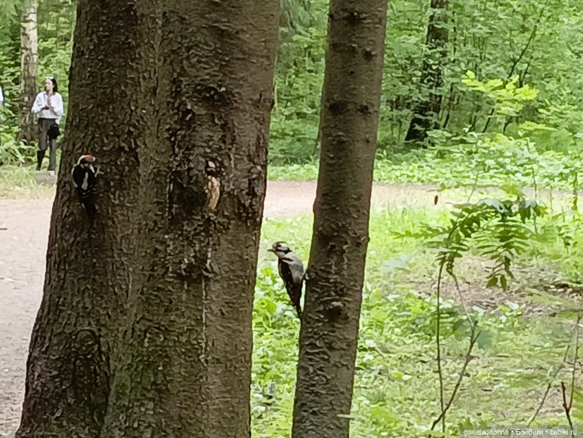 Разведчики Лугару — Зарисовки из кукольной жизни: фотоистории